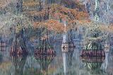 Lake Martin_25430